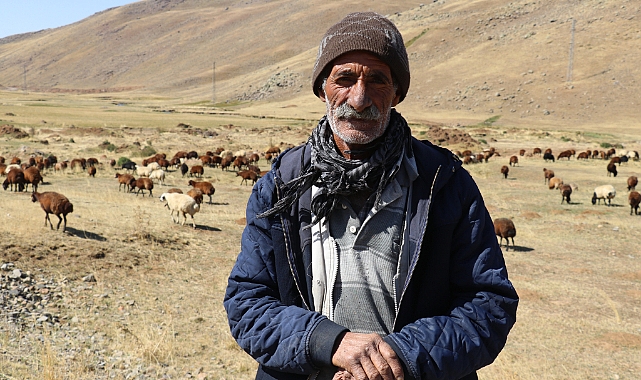 Yaylada sürüleri için 6 ay geçiren çobanlar dönüş hazırlığına başladı