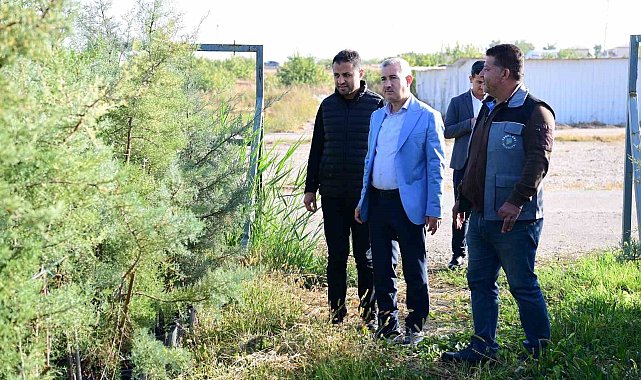 Yeşilyurt Beylerderesi Şehir Parkı yeşillenecek