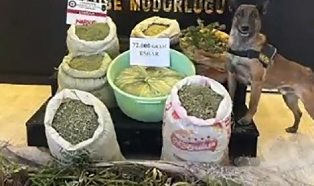 Yüksekova'da 72 kilo esrar 90 kök kenevir ele geçirildi