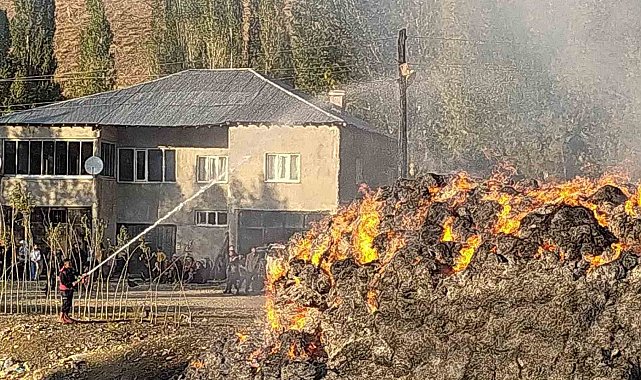 Yüksekova'da çıkan yangında 20 bin bağ ot yandı