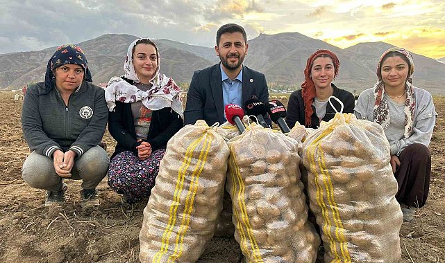Yüksekova'nın toprağından bereket fışkırıyor: Ton ton patates elde edildi