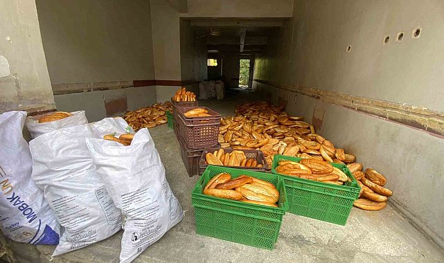 Yüzlerce ekmek kullanılmayan binaya atılmıştı, ekipler inceleme başlattı