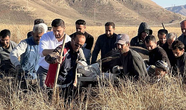 11 gün önce kaybolan ineği sedye ile kurtarma çalışması