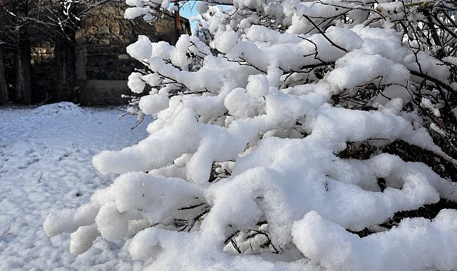 Ağrı'da 66 köy yolu kar nedeniyle ulaşıma kapandı