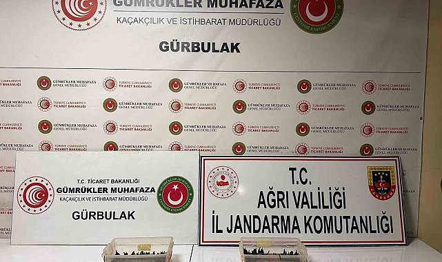 Ağrı'da 70 bin TL değerinde sülük ele geçirildi