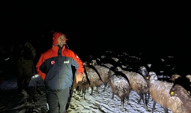 Ağrı'da mahsur kalan 3 çoban ve 3 bin koyun kurtarıldı