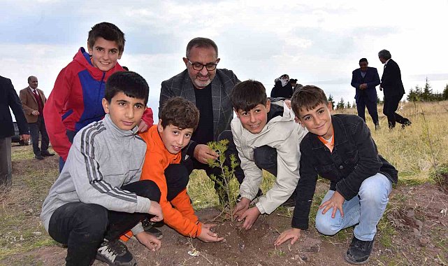 Ahlat'ta çam fidanları toprakla buluştu