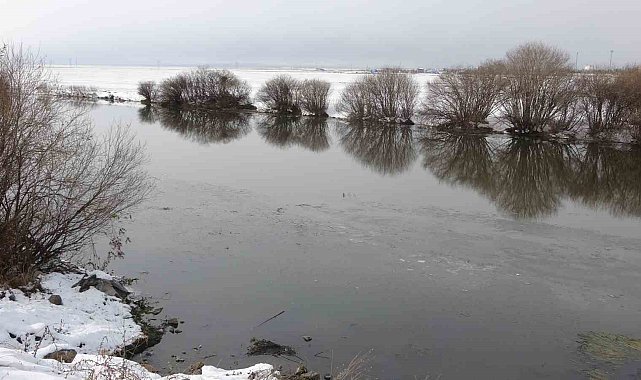 Ardahan'da Kura Nehri'nin yüzeyi kısmen dondu
