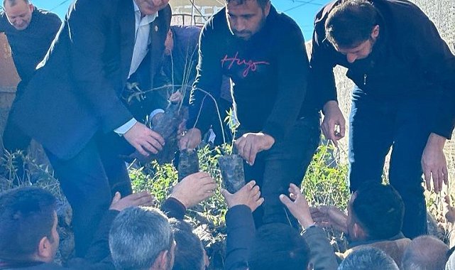 Başkale'de 10 bin badem ve ceviz fidanı dağıtıldı