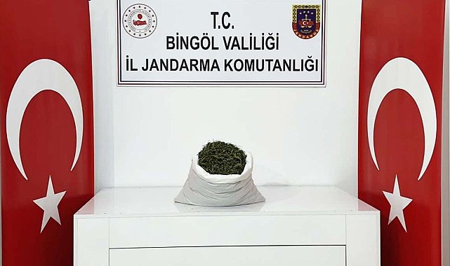 Bingöl'de araziye gömülü 12 kilo 550 gram esrar ele geçirildi