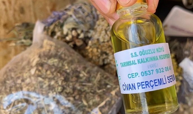 “Bitkilerimiz, yünlerimiz, tüylerimiz tamamen doğal”