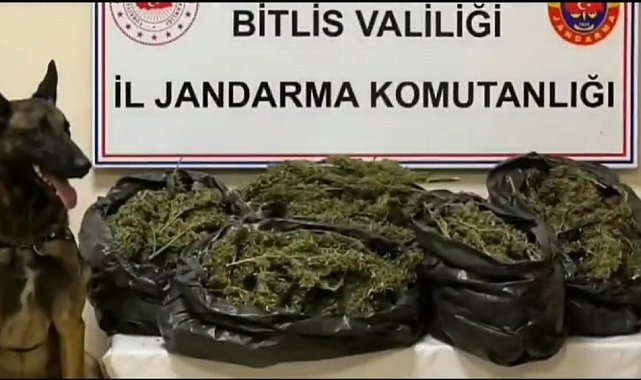 Bitlis'te 10 kilo 200 gram skunk maddesi ele geçirildi