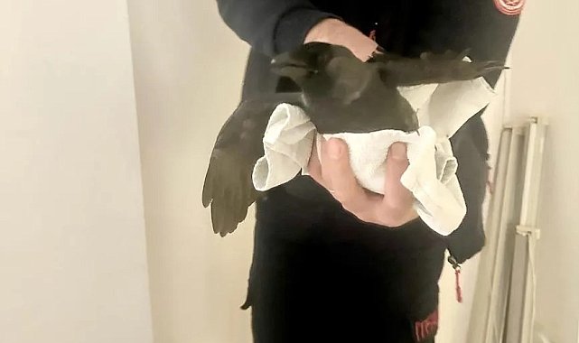 Elazığ&#039;da &#039;Karga kurtarma operasyonu&#039;