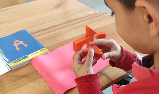 Elazığ'da akıl ve zeka oyunları kursu