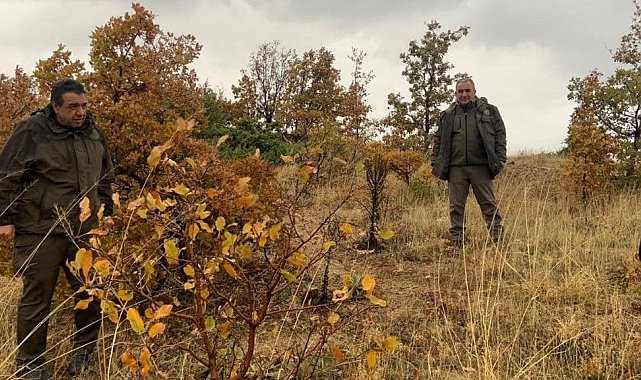 Elazığ'da kaçak avlanmaya geçit yok