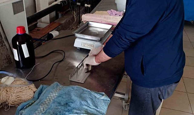 Elazığ'da tatlı su kefali proje çalışmaları sürüyor