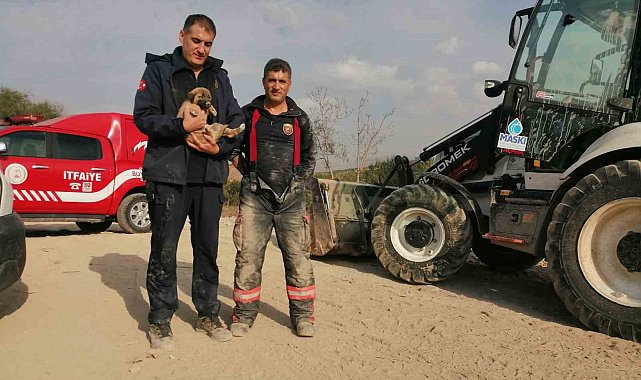 Enkaz altında kalan köpek kurtarıldı