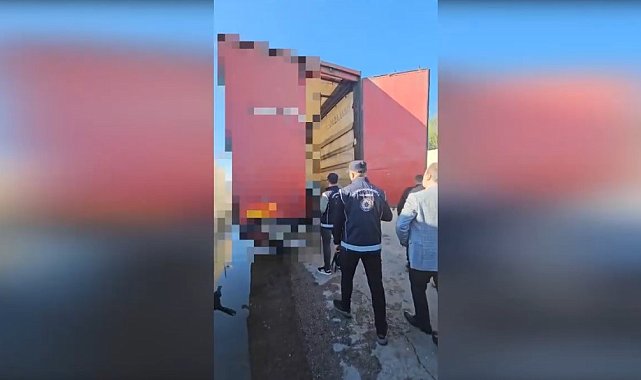 Erzincan'da Afganistan uyruklu 35 düzensiz göçmen yakalandı