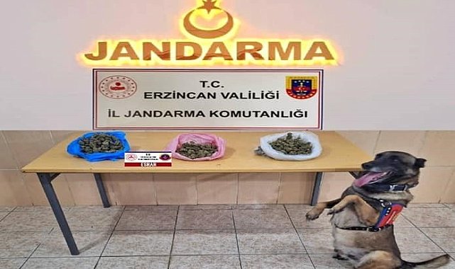 Erzincan'da jandarma ekipleri suça geçit vermiyor
