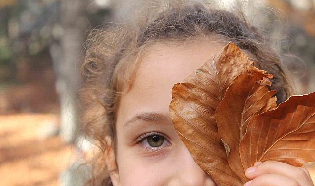 Erzincan'da ormanlık alanlarda renk cümbüşü