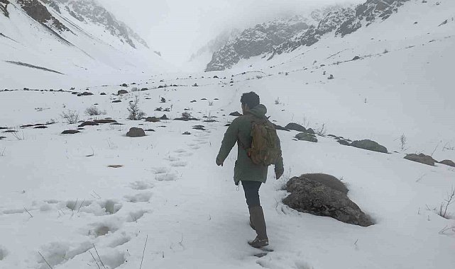 Erzincan&#039;ın yüksek kesimlerine kar yağdı