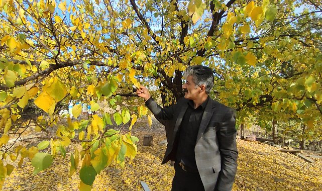 Erzurum'un Oltu ilçesinden vefa hikayesi