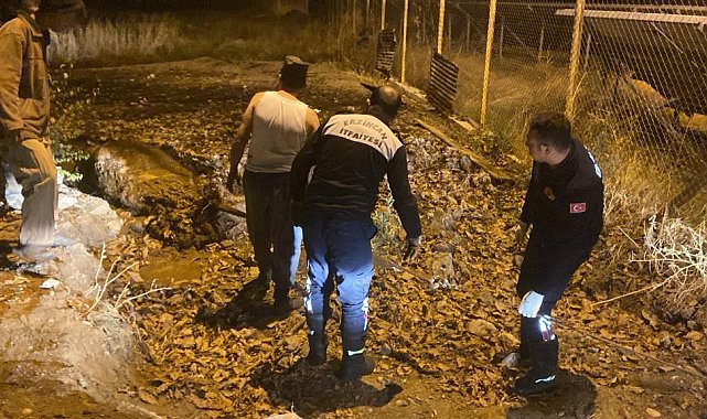 Gübre yığınında mahsur kalan inek itfaiye ekiplerince kurtarıldı