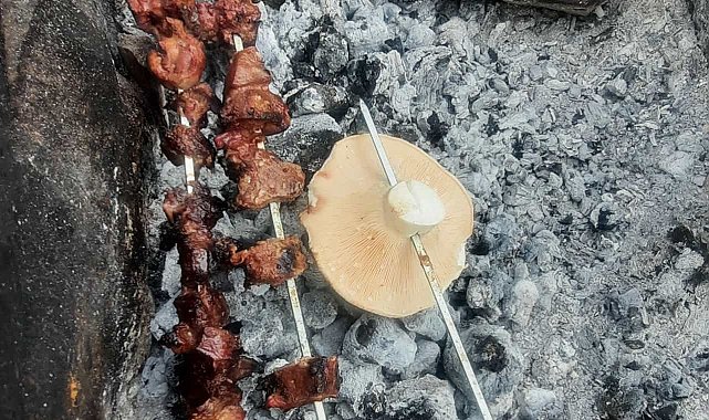 Hakkari'de kasım ayında mantar topladılar