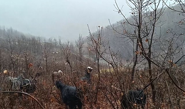 Kar ve tipiye yakalanan hayvan sürüsü güçlükle köye ulaştırıldı