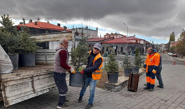 Kars ağaçlandırılıyor