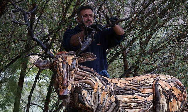 Kurumuş ağaç kökü ve dalları, sanata dönüşüyor