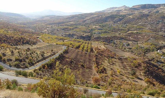 Levent Vadisi sonbaharda göz kamaştırıyor