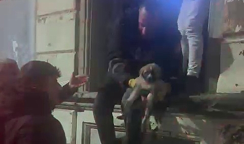 Metruk binada mahsur kalan yavru köpek kurtarıldı