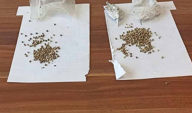 Molotofcu DGH üyesi uyuşturucuyla yakalandı