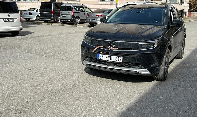 Otomobilin motor bölümüne giren yılan yün yakılarak çıkarıldı