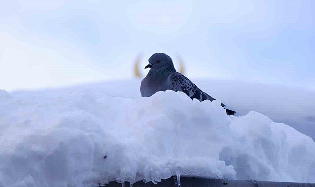 Palandöken'de kar kalınlığı 56 cm buldu, termometreler -15'i gösterdi