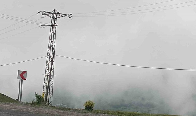 Sahara ve Ilgar geçidinde yoğun sis ulaşımı olumsuz etkiliyor