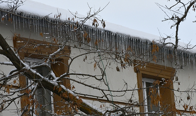 Sarıkamış'ta soğuk hava yaşamı olumsuz etkiledi