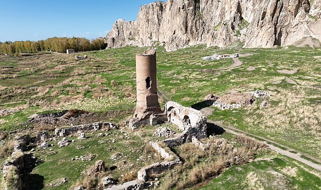 Selçuklu dönemine ait tarihi Van Ulu Cami'nin restorasyon çalışmaları başladı