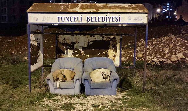 Soğuktan otobüs durağına sığınıyorlar