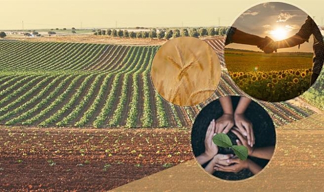 Tarımda derecelendirme dönemi başlıyor