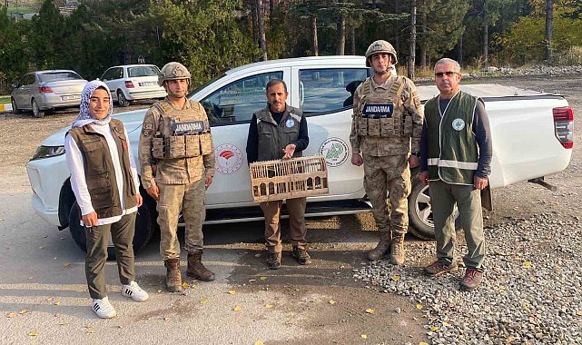 Tunceli'de el konulan kınalı keklikler doğal ortamına bırakıldı