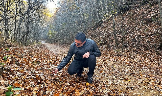 Vali Tekbıyıkoğlu, sonbahar güzelliğine bürünen Salördek'i ziyaret etti