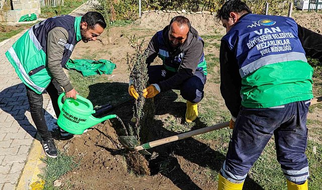 Van'daki 13 mezarlık alanına 3 bin 400 ağacın dikimine başlandı