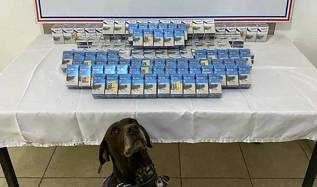Ağrı'da gümrük kaçağı sigara yakalandı