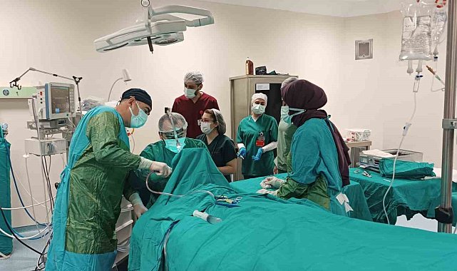 Ahlat Devlet Hastanesinde ilk kez tonsillektomi ameliyatı yapıldı