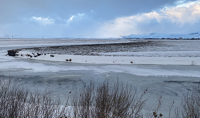 Ardahan'da soğuk hava ve buzlanma etkili oldu