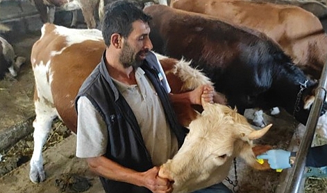 Aşı ve küpe affı sevindirdi