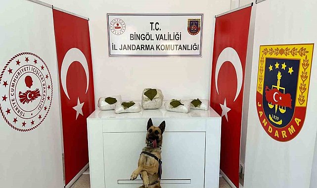 Bingöl&#039;de toprağa gömülü 13 kilo uyuşturucu ele geçirildi