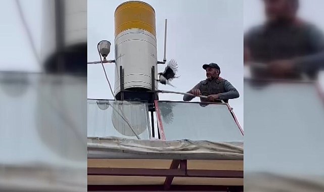 Çatıda takıldığı yerde mahsur kalan karga kurtarıldı